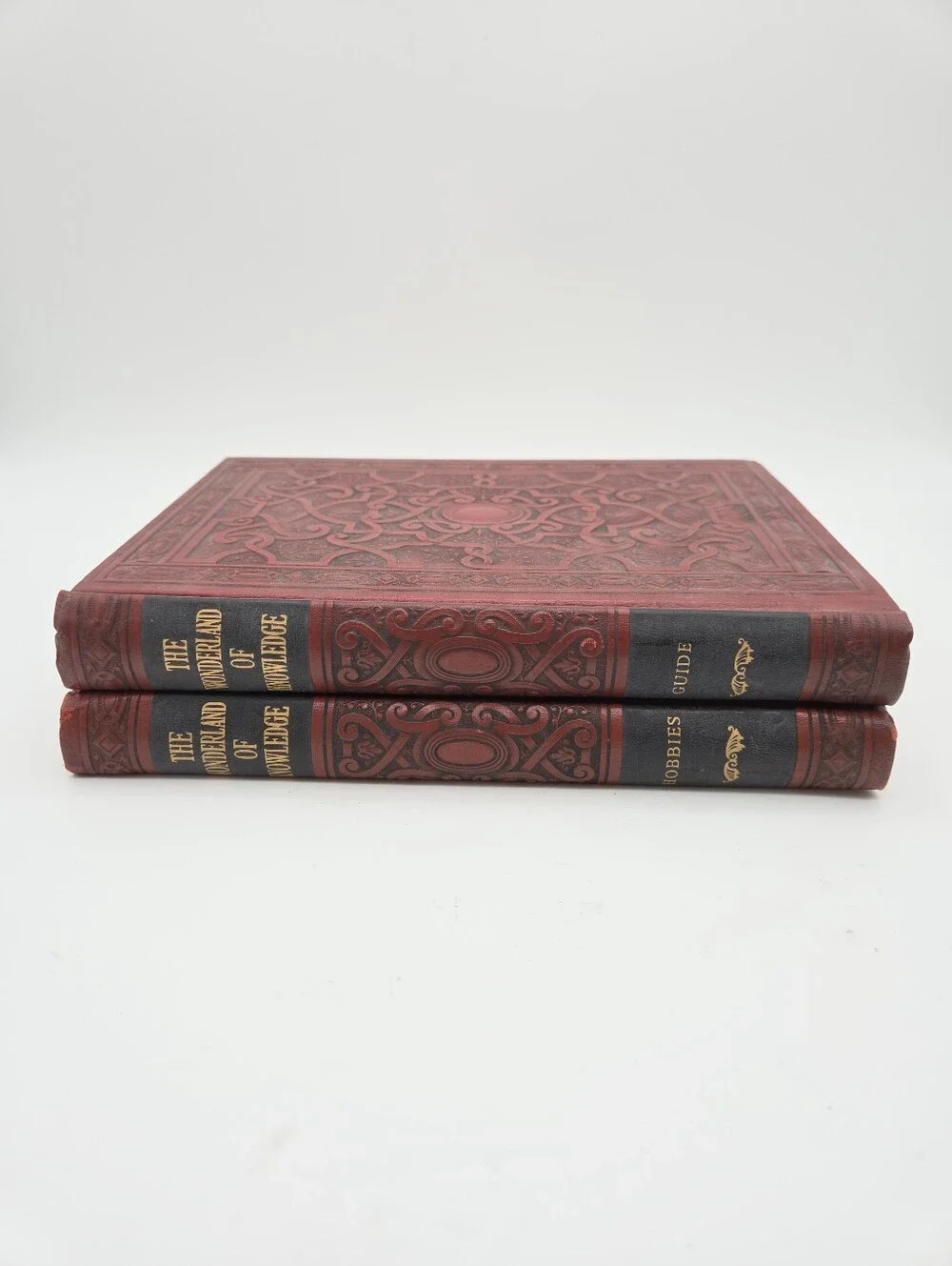 The Wonderland of Knowledge Two Books Hobbies Decor